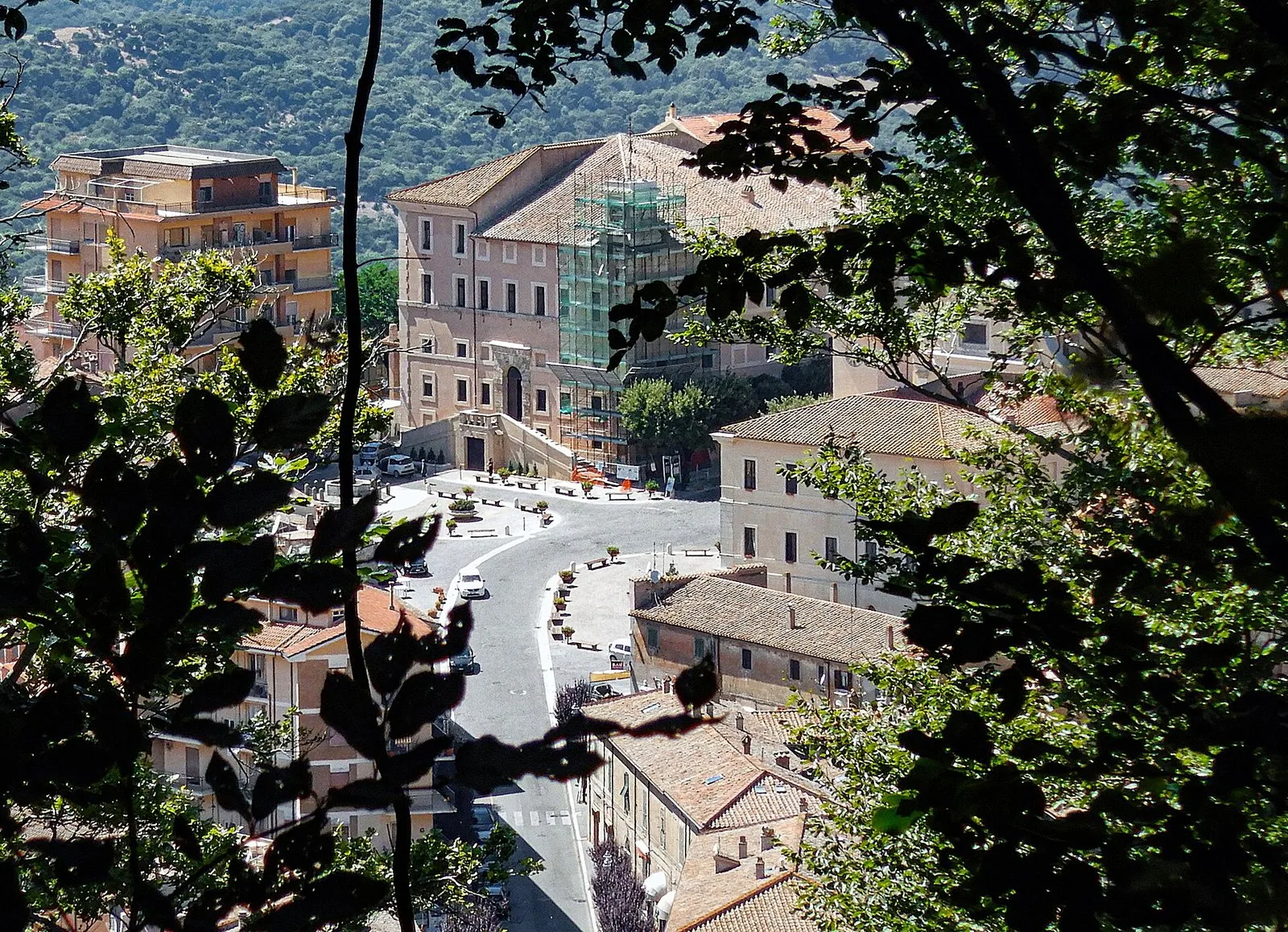 Allumiere fra gli alberi dei Monti della Tolfa